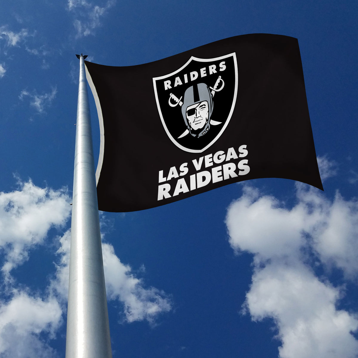 Las Vegas Raiders Pride Flag 3x5ft Banner Polyester American Football  raiders115