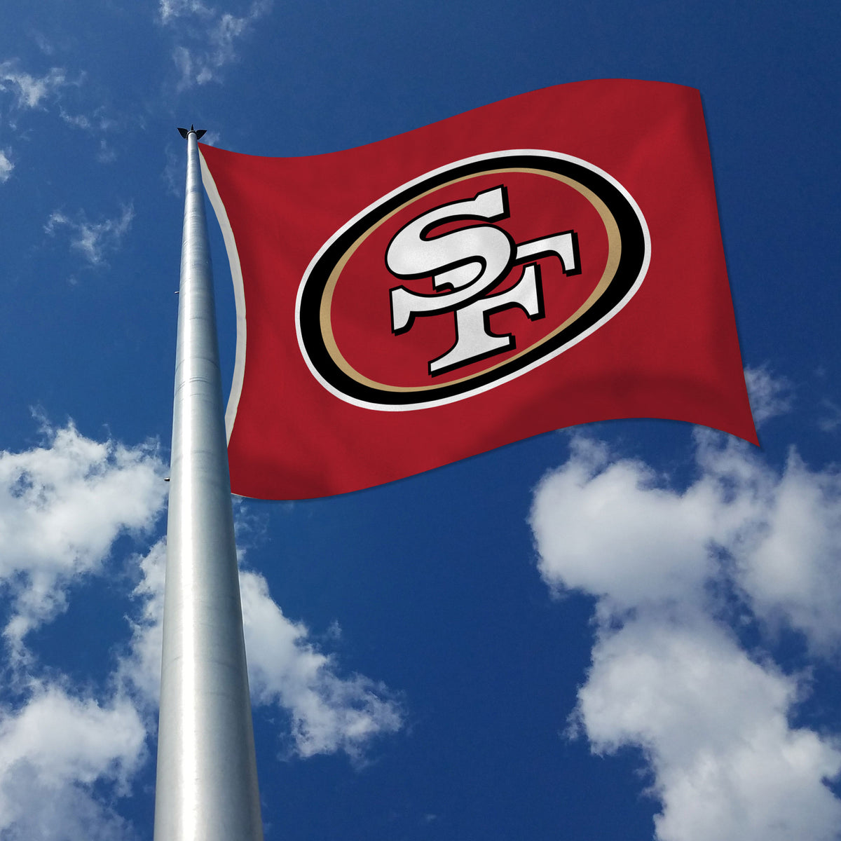 San Francisco 49ers Black 3' x 5' Polyester Flag, Pole and Mount