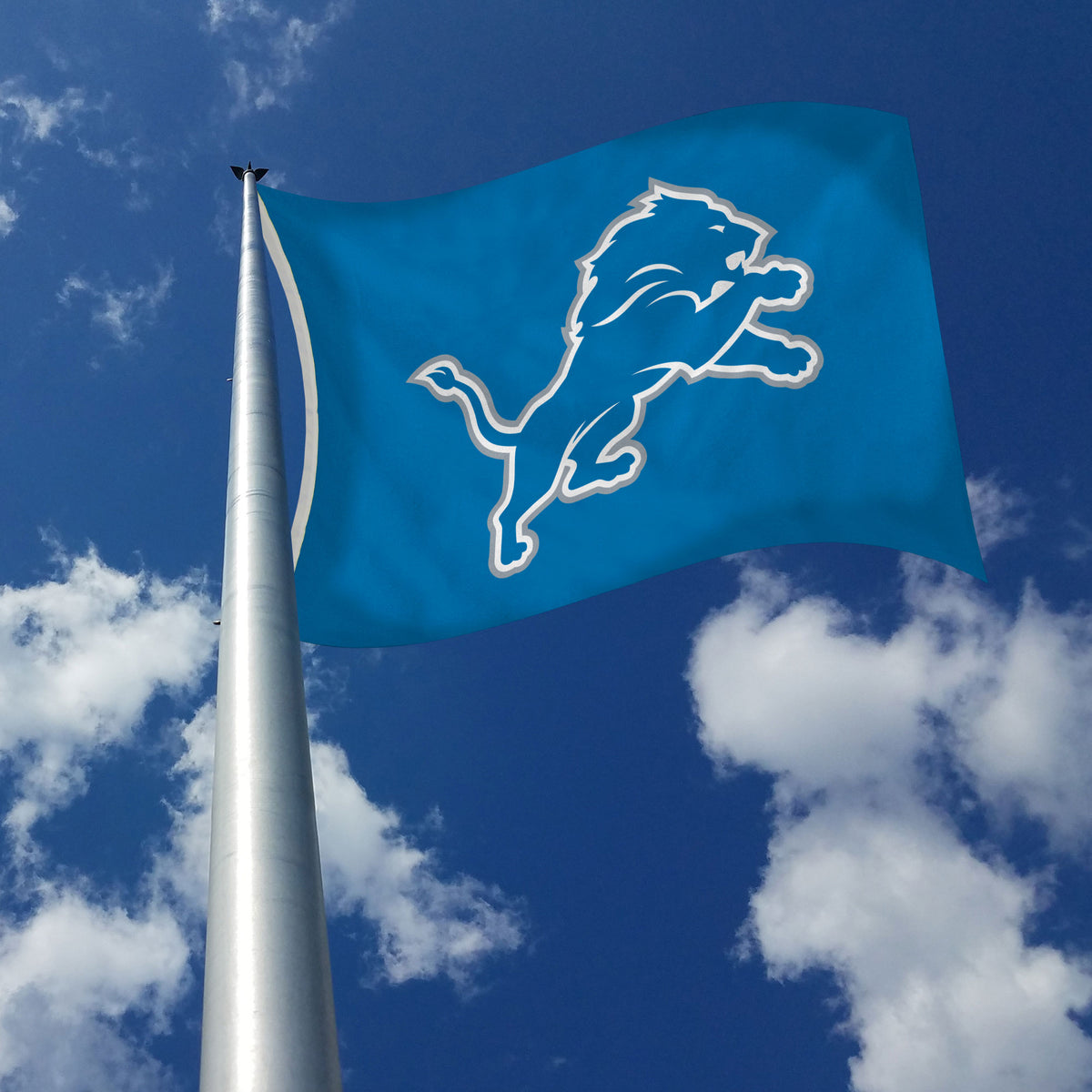 Detroit Lions Football Team Mascot Flag 90x150cm 3x5ft Fan Best Banner