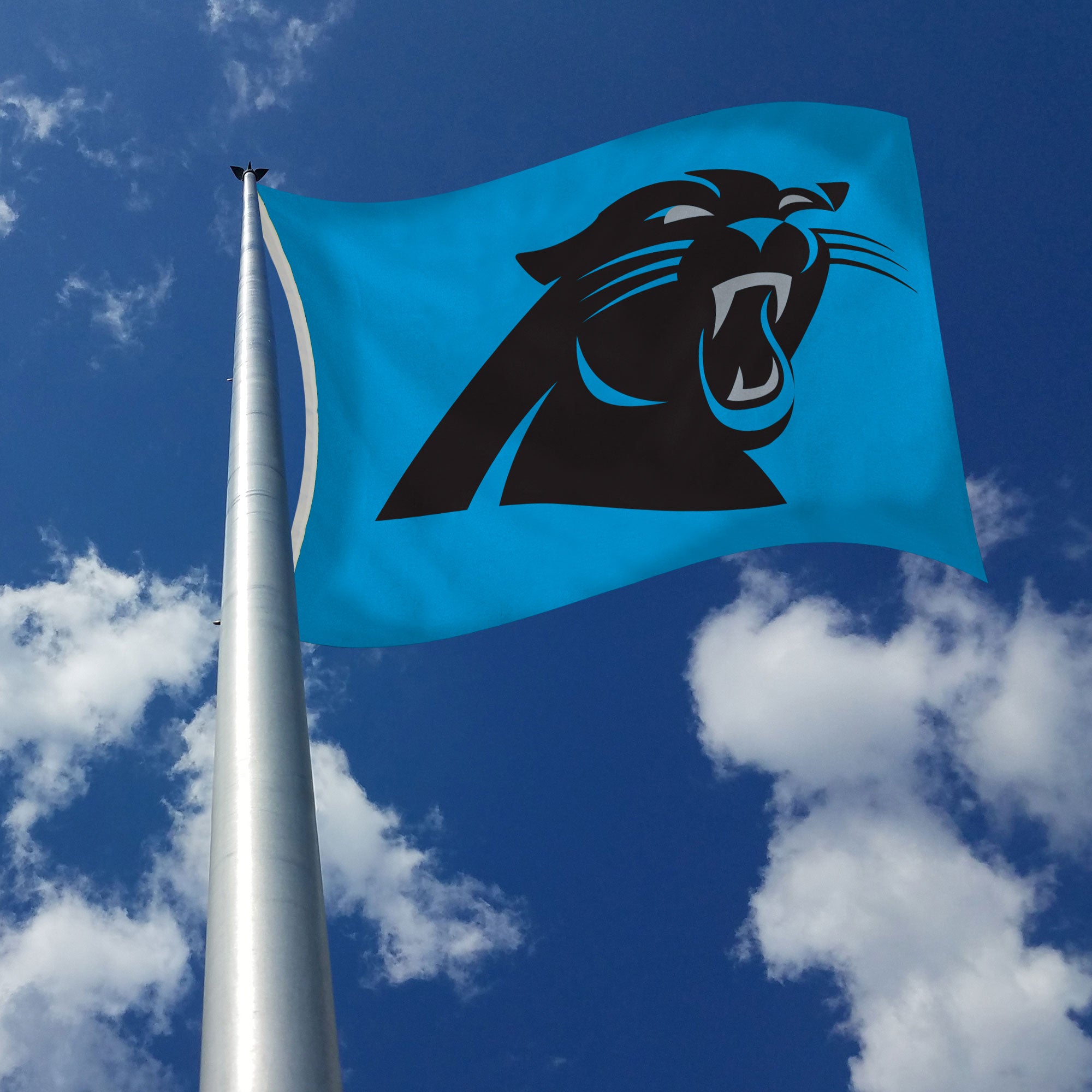 Carolina Panthers Flag 3x5 Classic Logo – HeartlandFlags