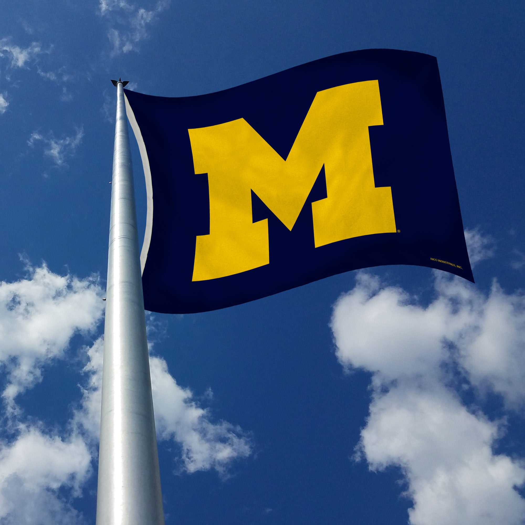 FANMATS Targa Pubblicitaria Per Auto NCAA Michigan Wolverines - Lastra In Metallo Pressofuso Cromato 15,2 X 30,5 Cm - Resistente Agli Agenti Atmosferici