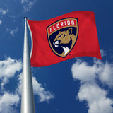 3'x5' Florida Panthers Flag