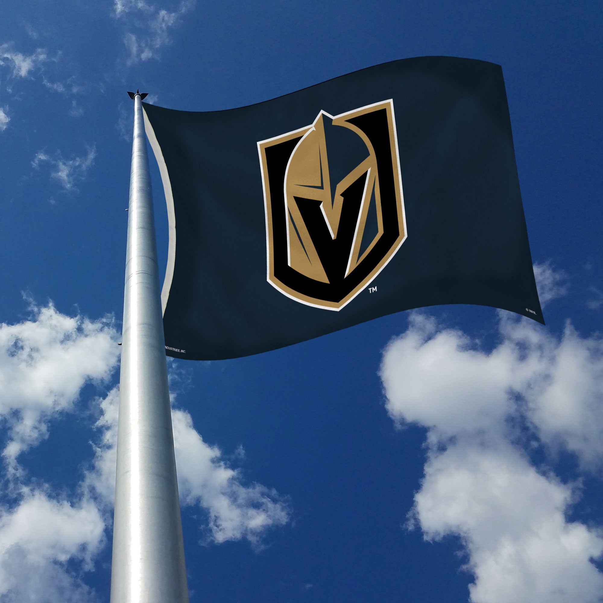 3'x5' Vegas Golden Knights Flag – Service First Products