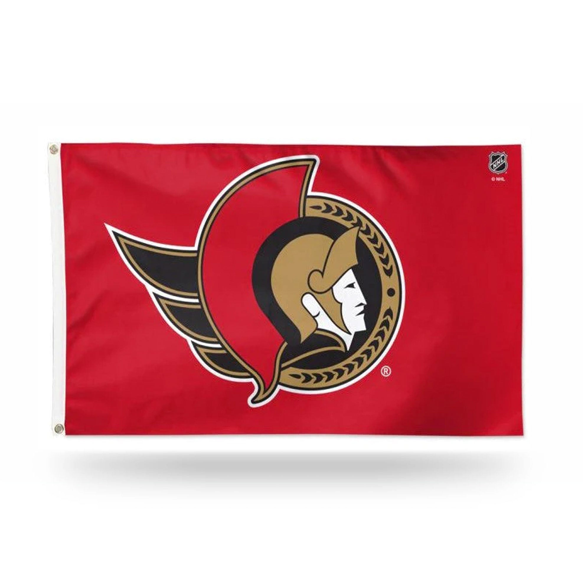 Buy 3 x 5' Washington Redskins Flag